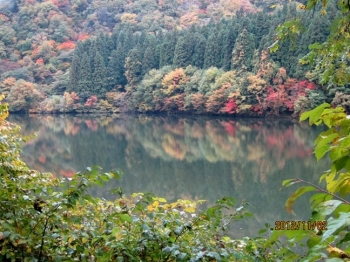 大源太湖畔の紅葉