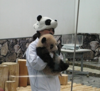 飼育係のお姉さんに抱っこされた優浜