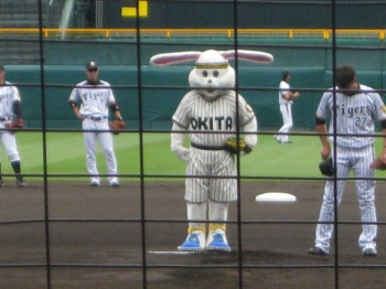 始球式おき太くん