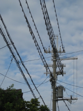 鳥害防止材料 電柱・電線に