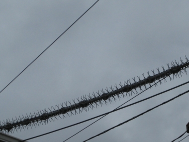 鳥害防止材料電線に