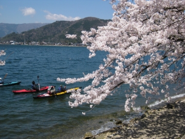 琵琶湖 湖面を彩るカヌー