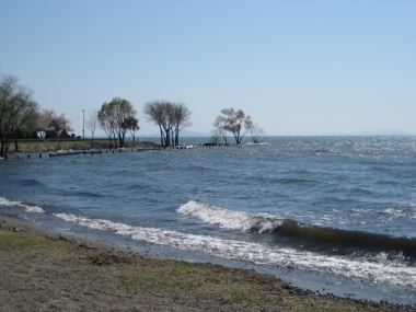 豊公園の琵琶湖畔