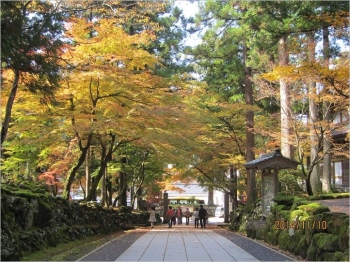 紅葉