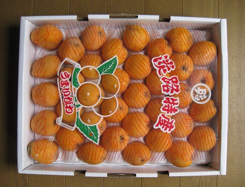 箱詰めのビワ