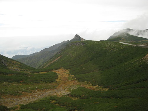 バスの窓越しに撮った風景