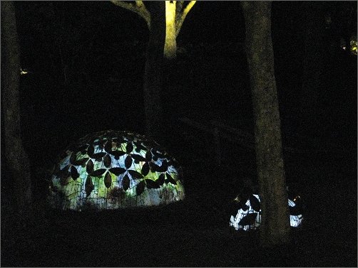 夜に発光して耀く陶器の紫陽花