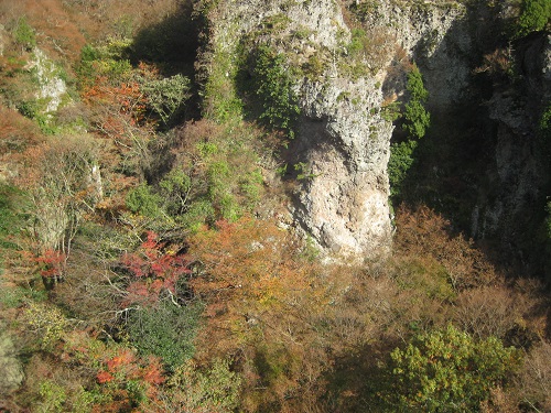 寒霞渓の崖と盛りを過ぎた紅葉