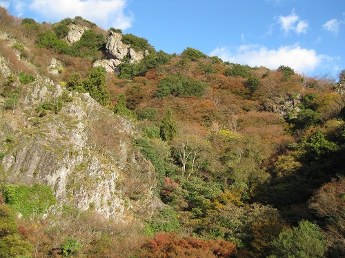 寒霞渓の崖と盛りを過ぎた紅葉