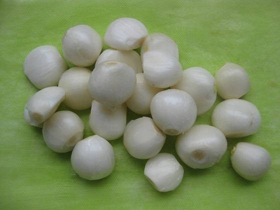 彼岸花の鱗茎