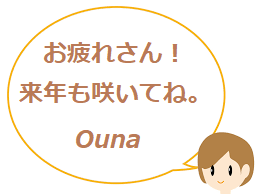 줵 ǯ餤Ƥ͡ Ouna
    