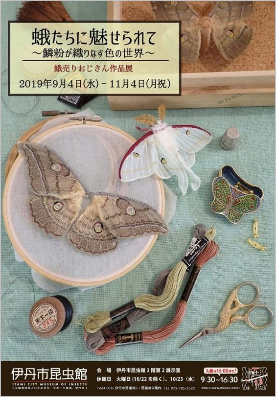 「蛾に魅せられて」のポスター