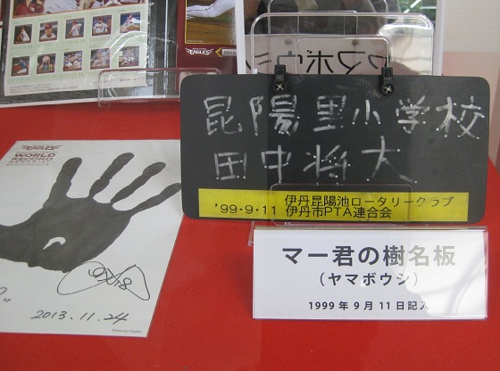 マー君サインの樹名板 実物