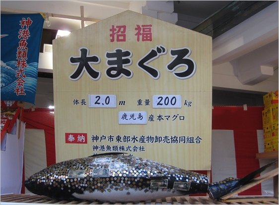 招福大まぐろ に お賽銭