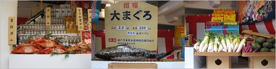 大まぐろの周りに多数の奉納品