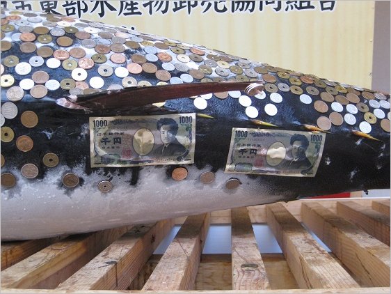 大まぐろ尾,お賽銭