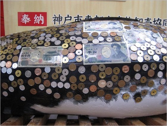 大まぐろの脊中・腹,お賽銭