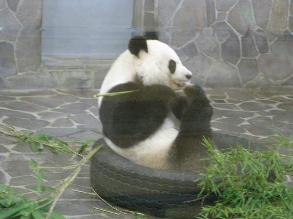 食事中