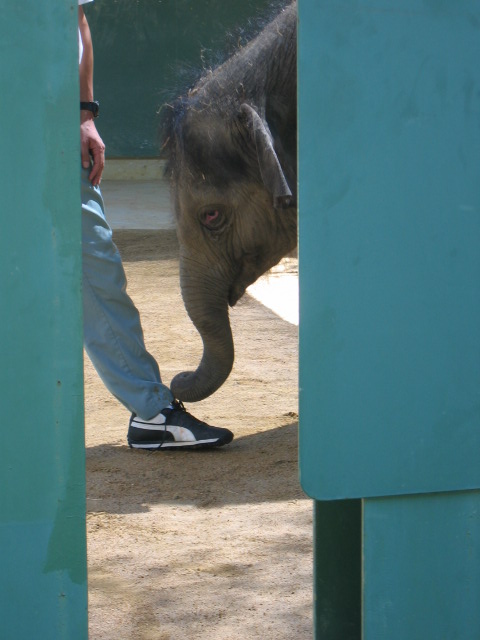 もう少しでほどける