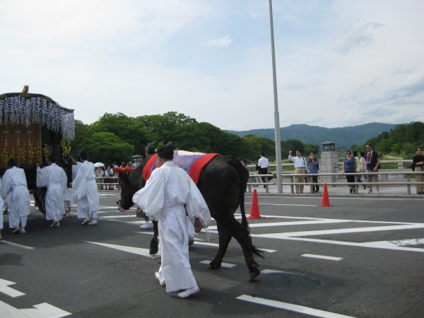勅使の牛車の後をいく交代用の牛