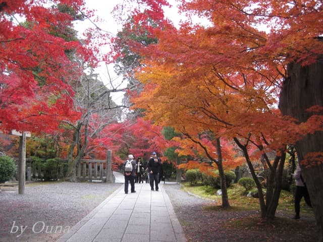 境内の紅葉