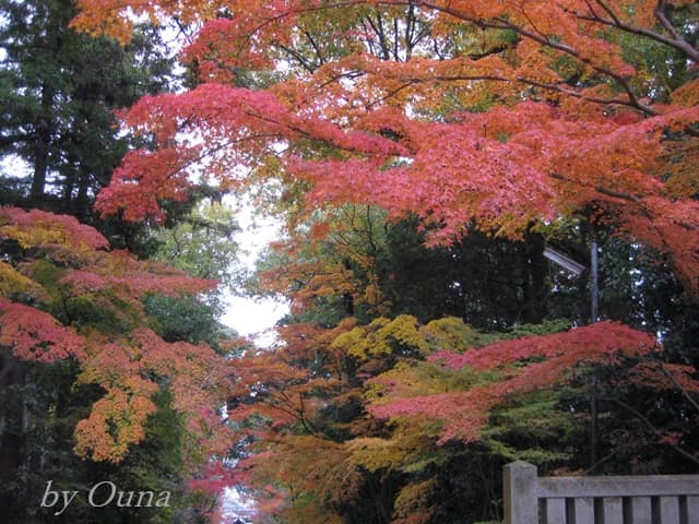 境内の紅葉