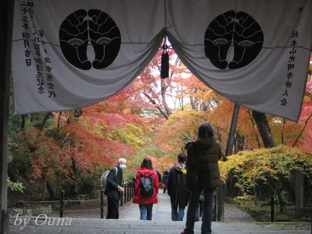 もみじ参道の紅葉