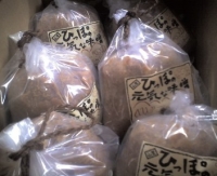 筆甫の味噌