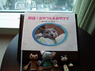 atsukoさん、手づくりぃ。