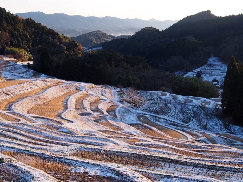 大山千枚田.JPG