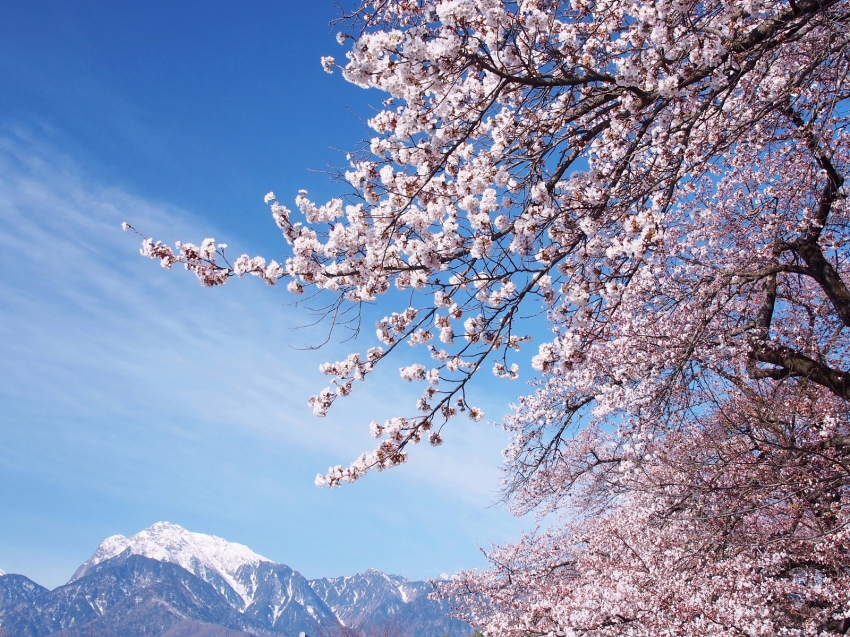 清春芸術村(山梨県).JPG