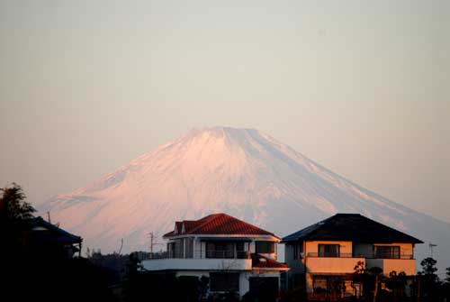 元旦の富士山