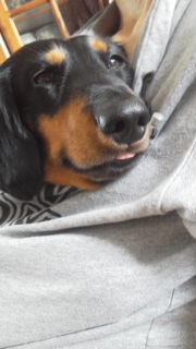 20110703132019.jpg