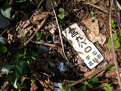 屈斜路湖の不自然