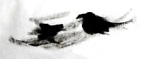 鳥に見える…