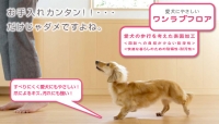 ペット向けフローリング、ワンラブフロア