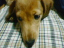 20051105_64806.jpg