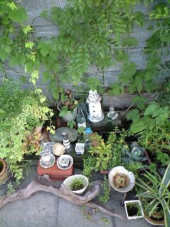 090812_1819~0002.jpg