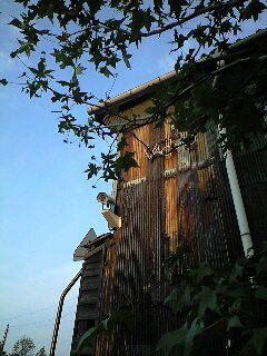 090812_1814~0001.jpg