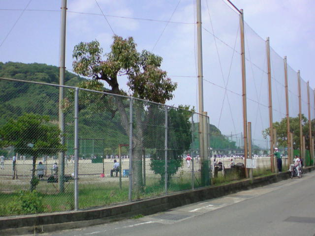 20090524100635.jpg
