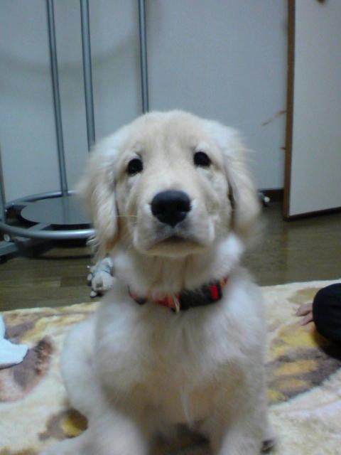 20090705211236.jpg