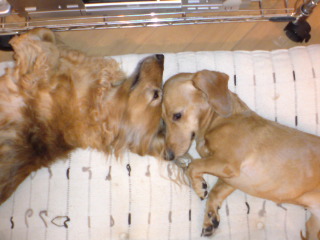20090904170833.jpg