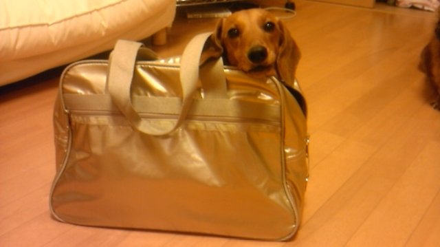 100810_001225.jpg