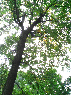 20071025120256.jpg