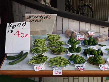 P9191601.jpg