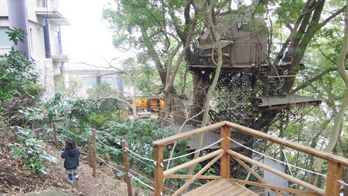 P2232392.jpg