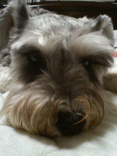200809072051000.jpg