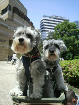 2011051507450000.jpg