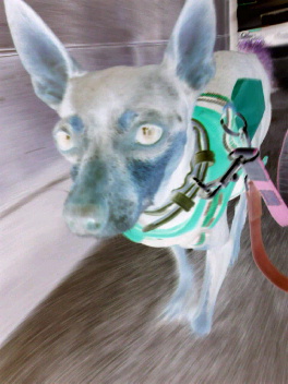 2011112007180000.jpg