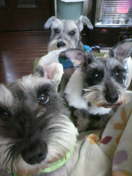 2012032306100000.jpg